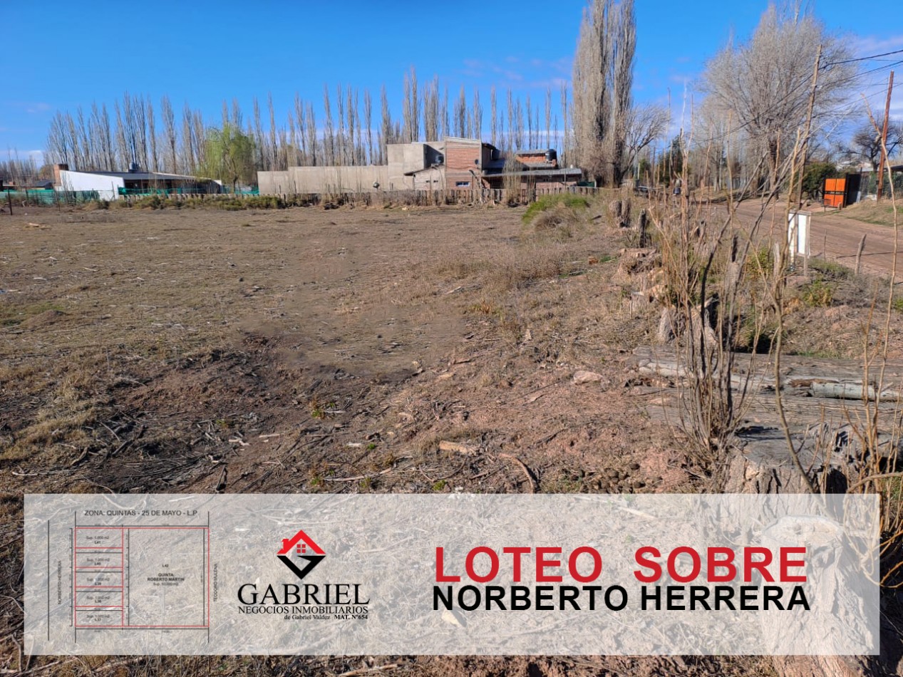 Terreno en Norberto Herrera