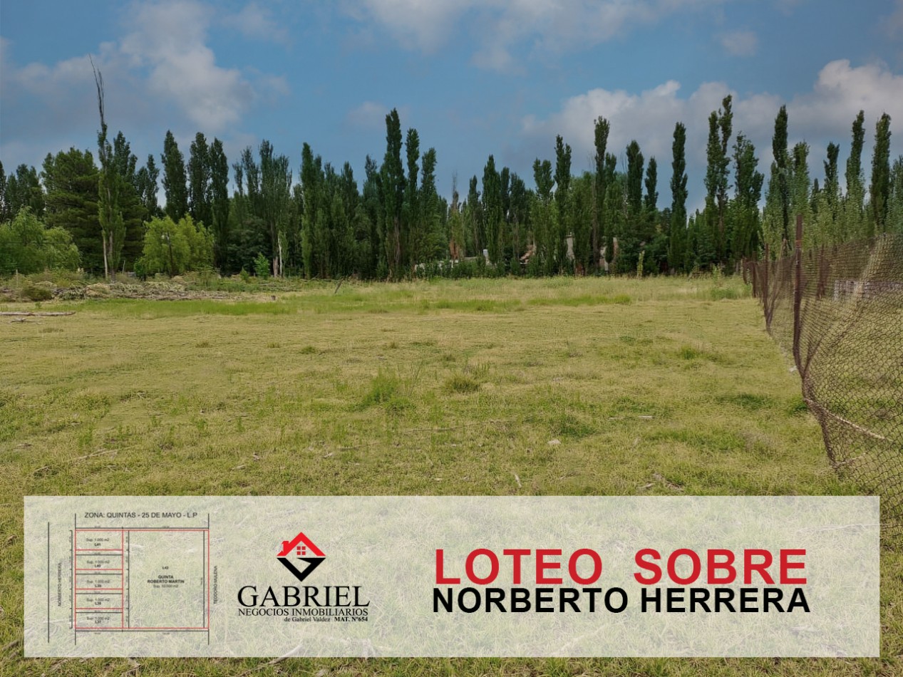 Terreno en Norberto Herrera