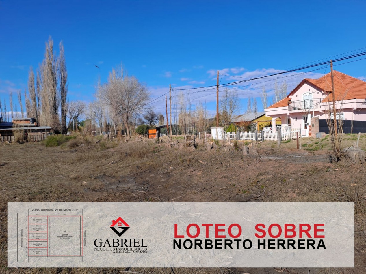 Terreno en Norberto Herrera