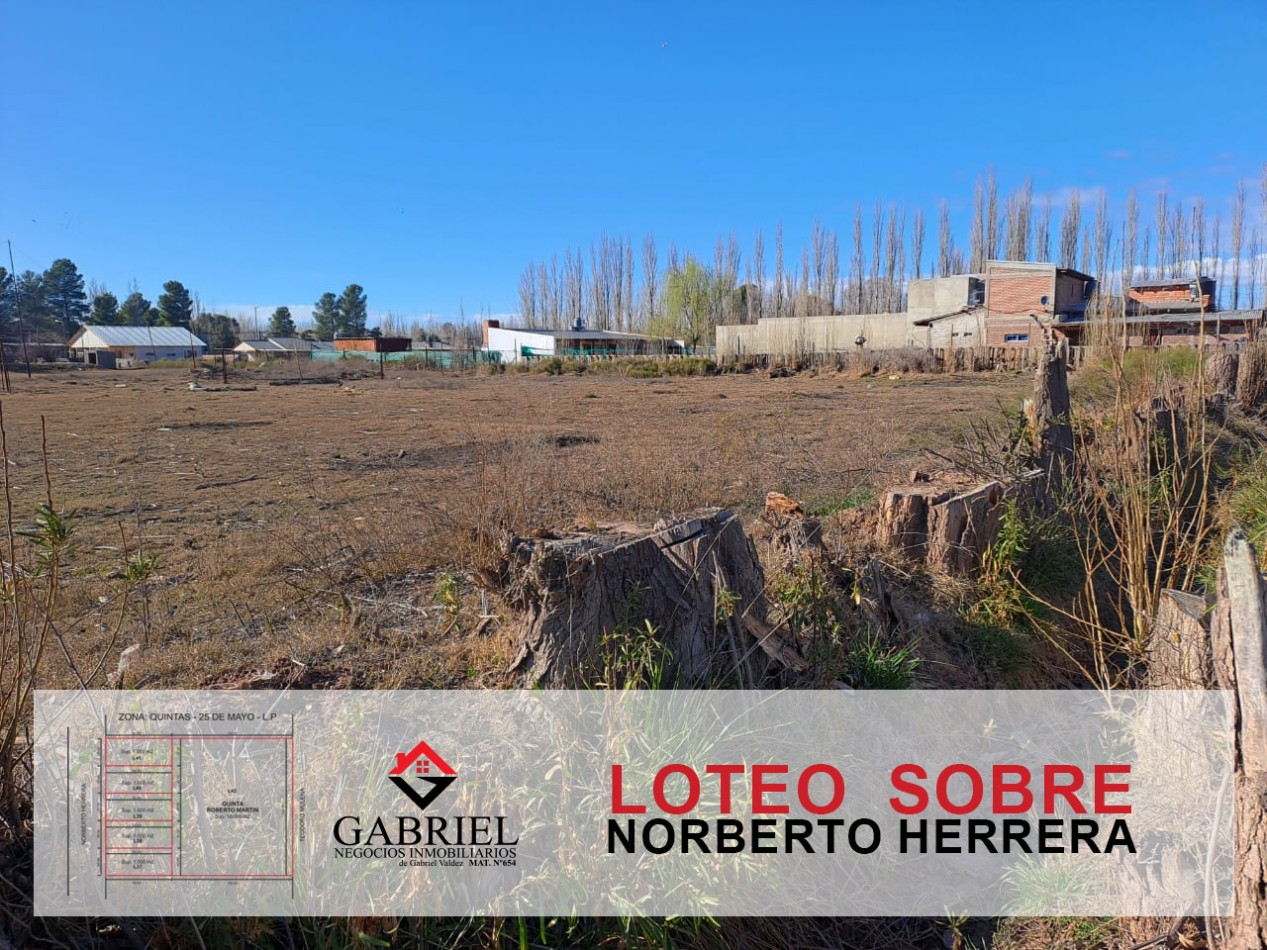 Terreno en Norberto Herrera