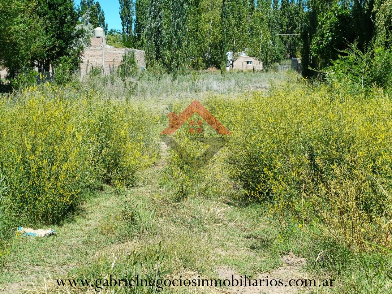 Terreno en venta - Calle Norberto Herrera