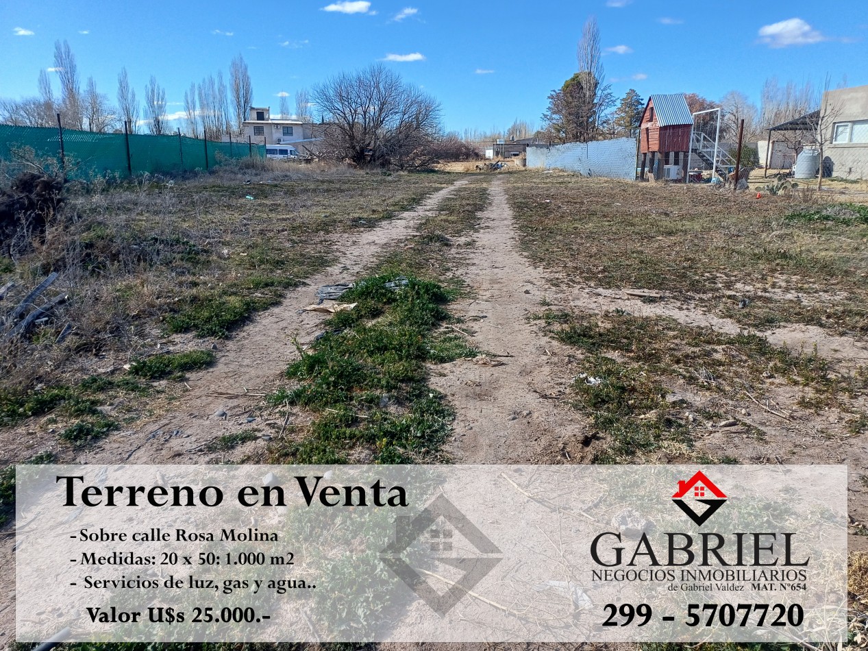 Terreno en Venta - Calle Rosa Molina