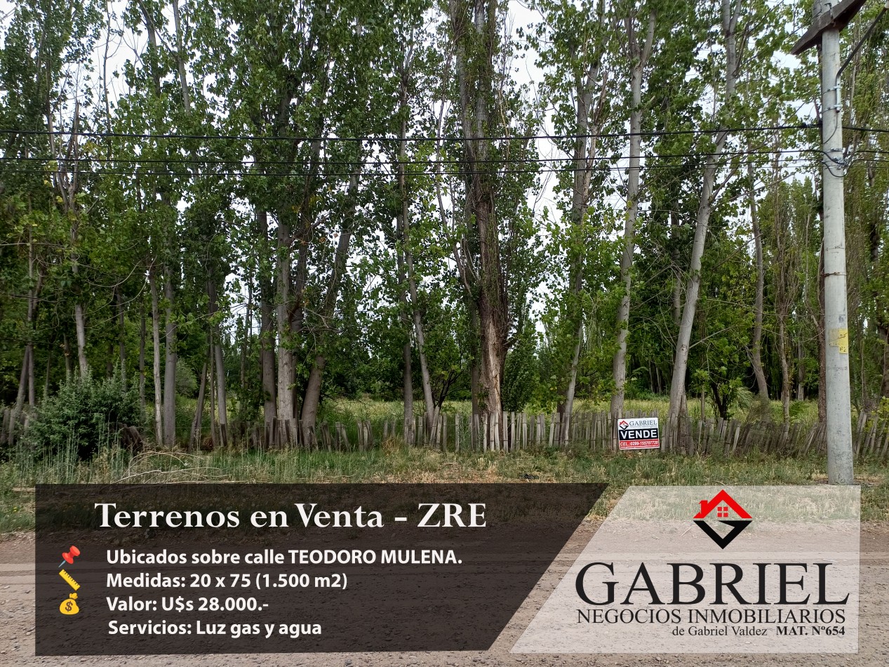 Terrenos en Venta - Zona Quintas