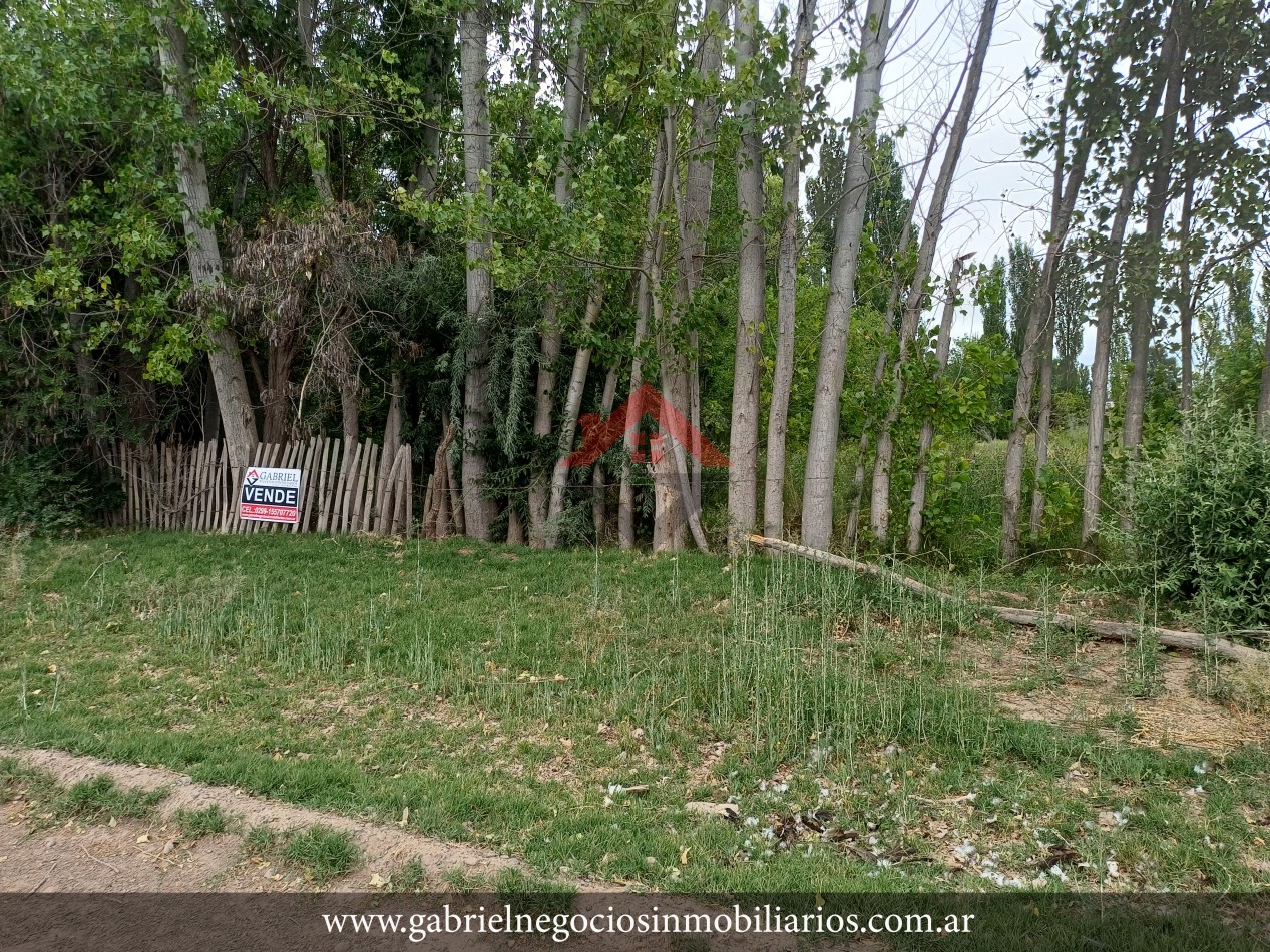 Terrenos en Venta - Zona Quintas