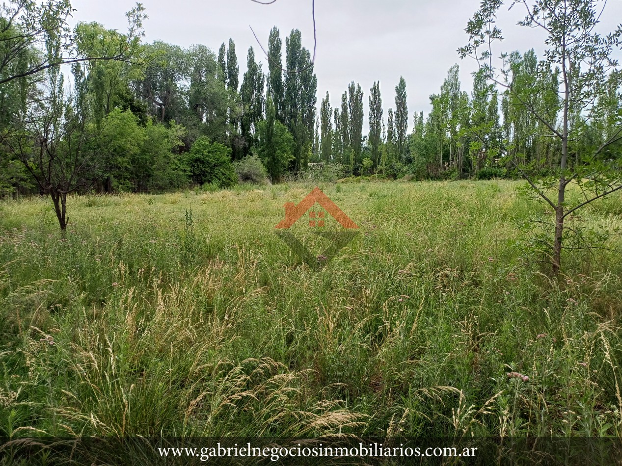 Terrenos en Venta - Zona Quintas