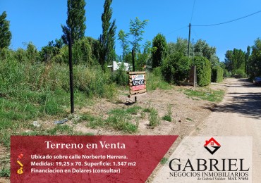 Terreno en venta - Calle Norberto Herrera